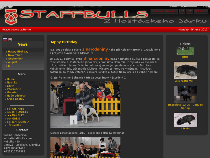 www.staffbulls.com