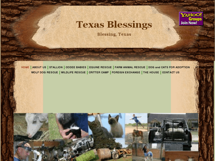 www.texasblessing.com