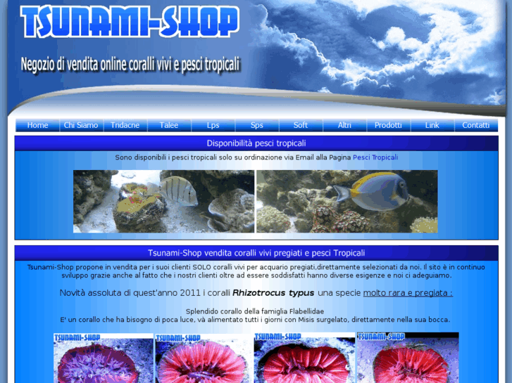www.tsunami-shop.com