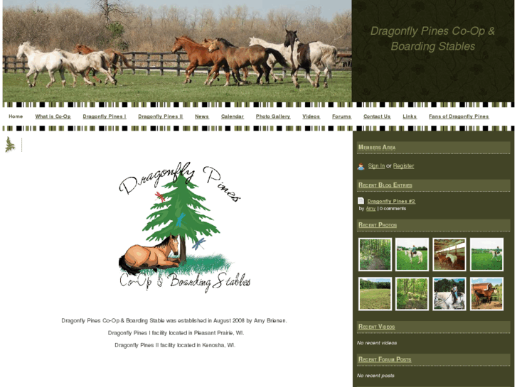www.dragonflypines.com
