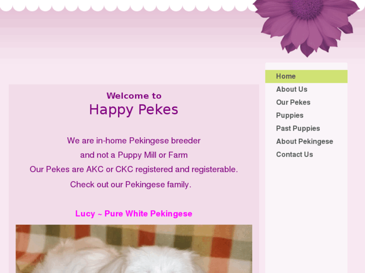 www.happypekes.com