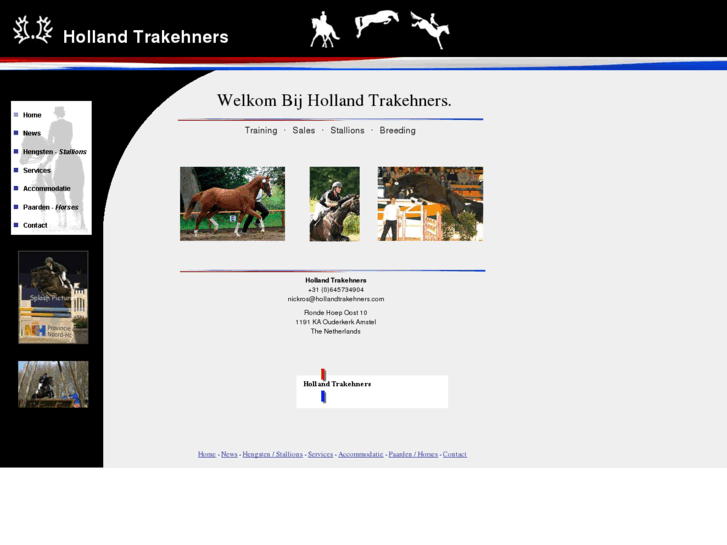 www.hollandtrakehners.com