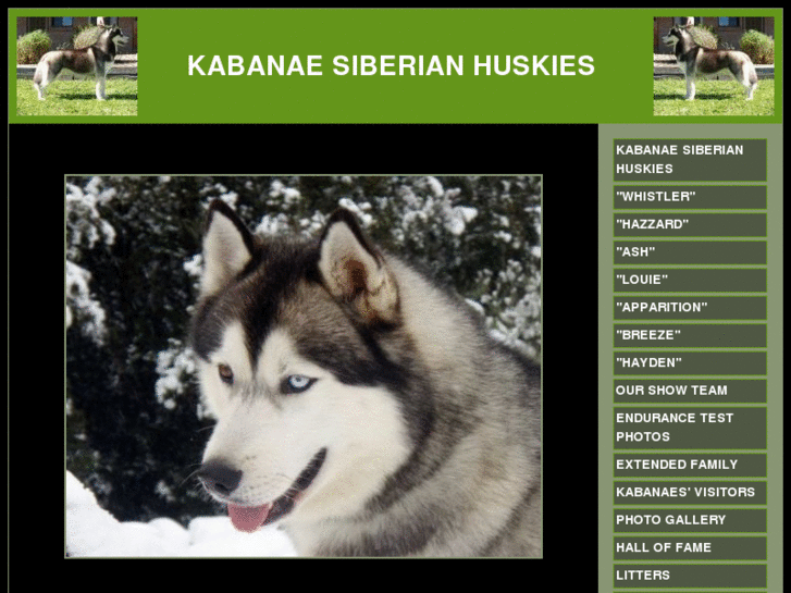 www.kabanaekennels.com