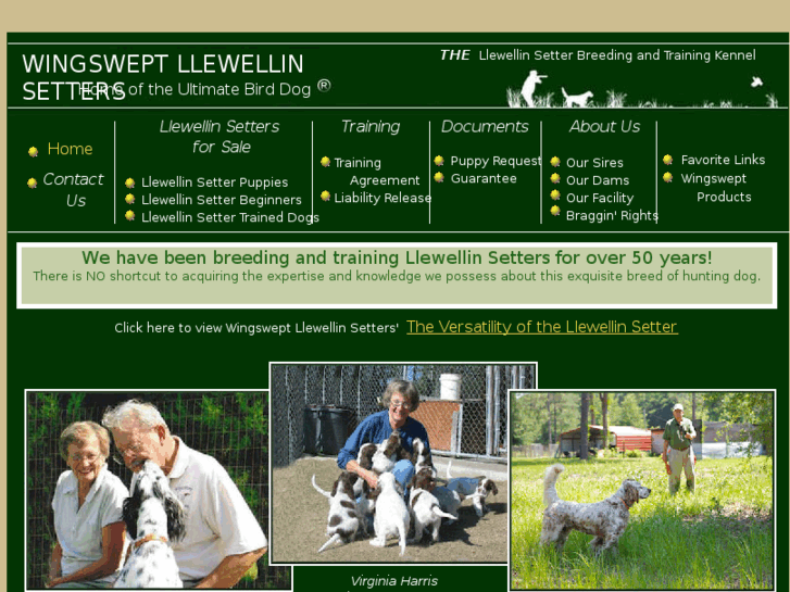 www.llewellinbirddogs.com