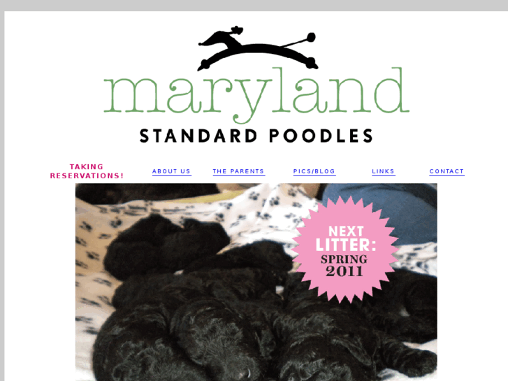 www.marylandstandardpoodles.com