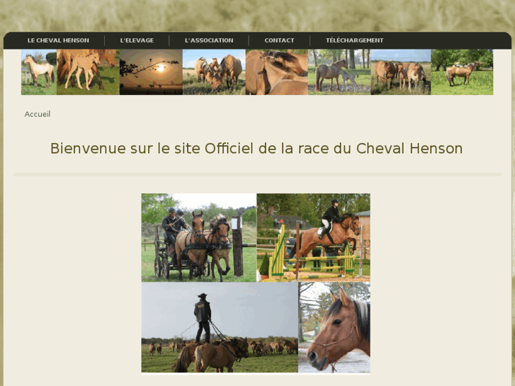 www.asso-cheval-henson.com