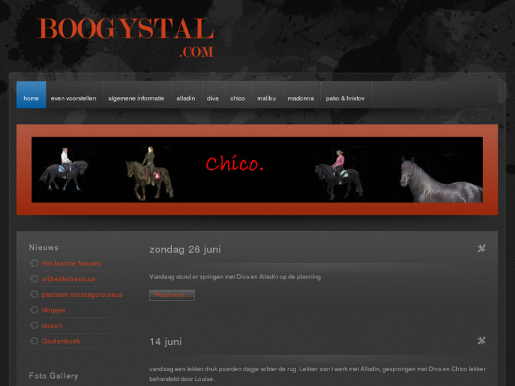 www.boogystal.com