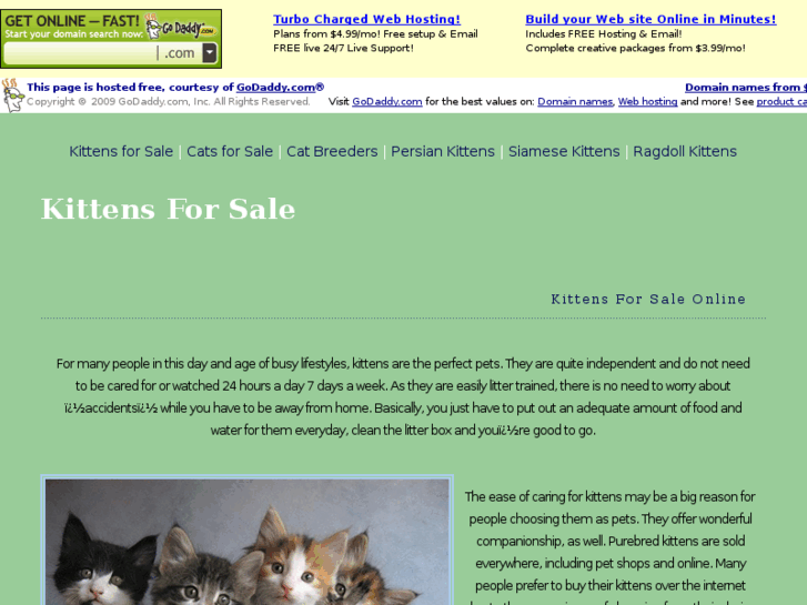 www.kittensforsaleonline.com