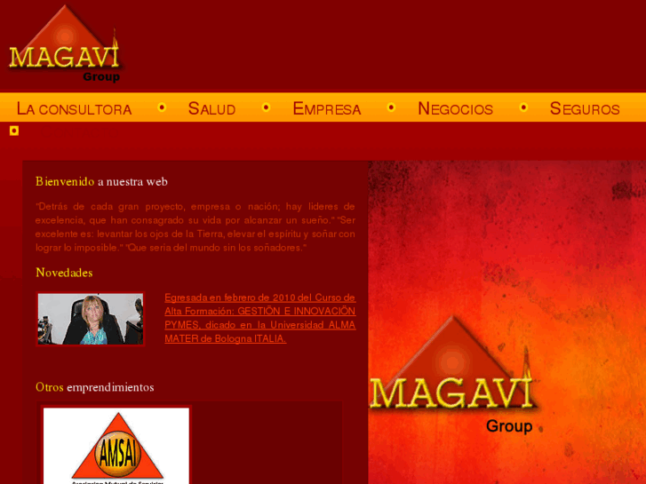 www.magavigroup.com.ar