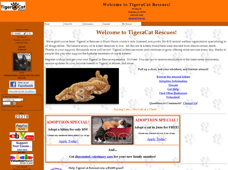 www.tigeracat.com