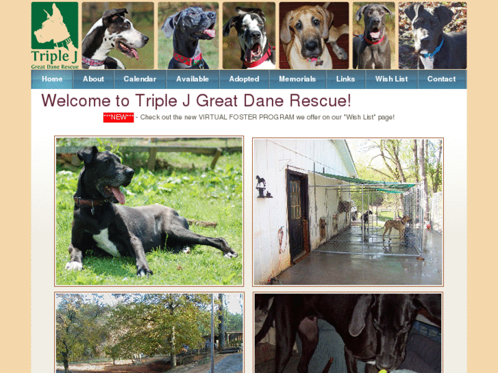 www.triplejgreatdanerescue.org