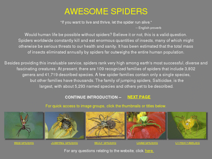 www.awesomespiders.com