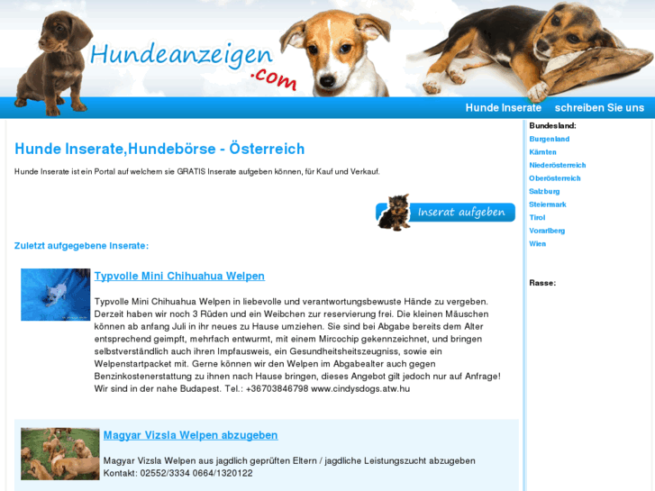 www.hundeinserate.com