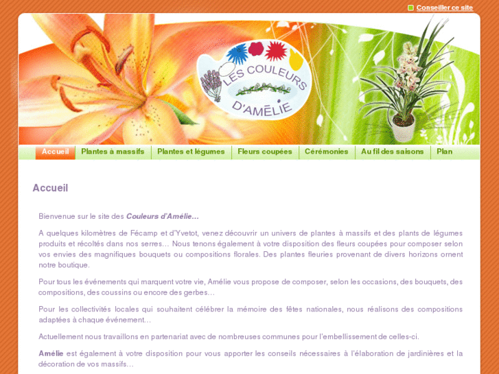 www.les-couleurs-damelie.com