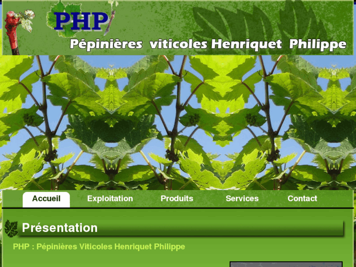 www.pepiniere-de-vigne.com