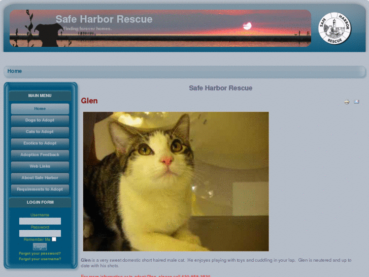 www.safeharborrescue.org