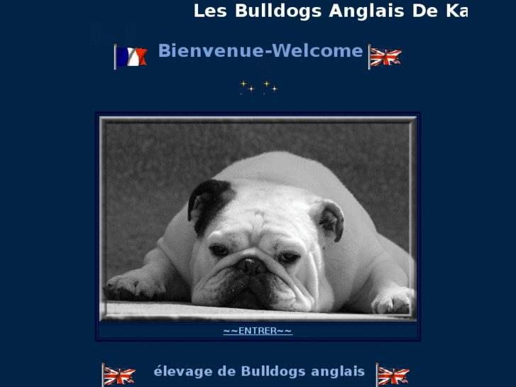 www.bulldogsdekalinka.com