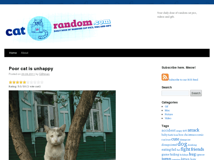 www.catrandom.com