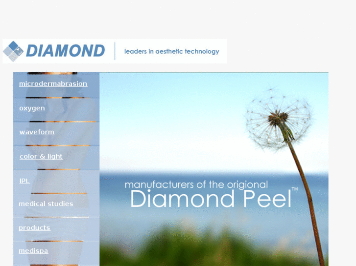 www.diamondincorporated.com