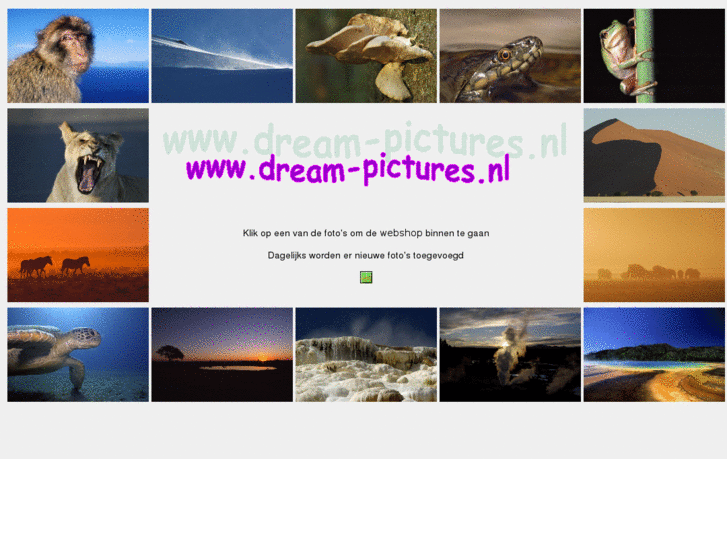 www.dream-pictures.nl