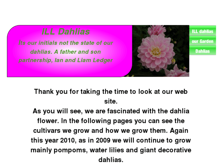 www.illdahlias.com