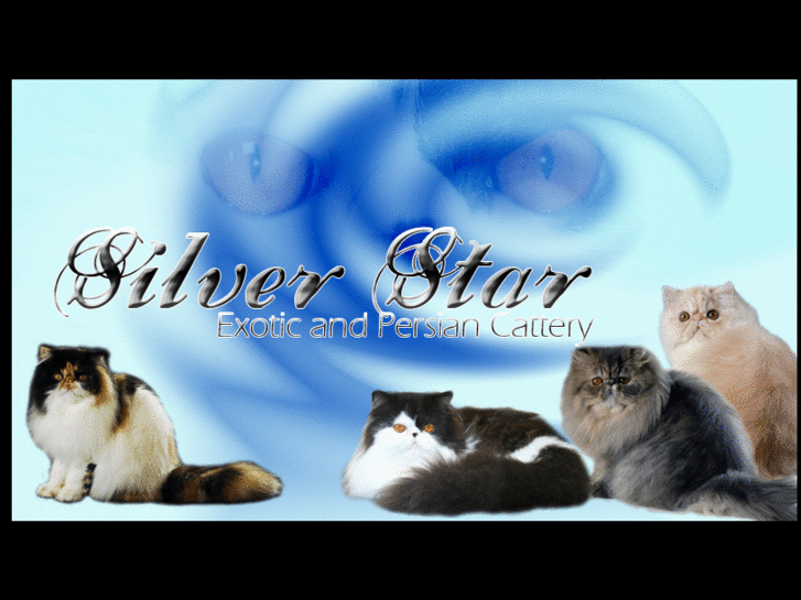 www.silverstarpersiani.com