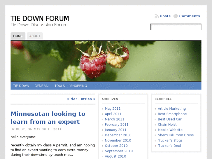 www.tiedownforum.com