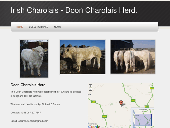 www.irishcharolais.com