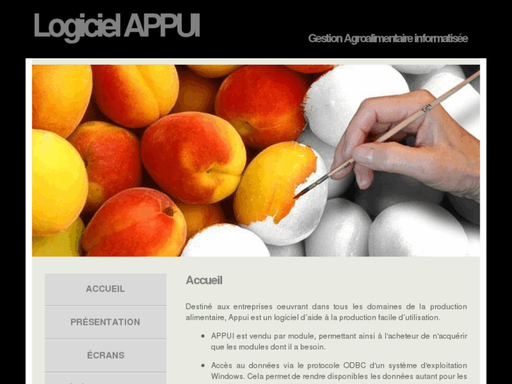 www.logicielappui.com
