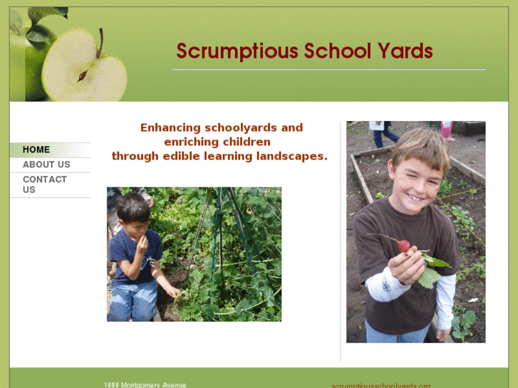 www.scrumptiousschoolyards.org