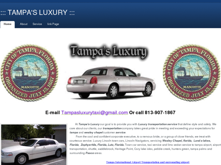 www.tampasluxurytaxi.com