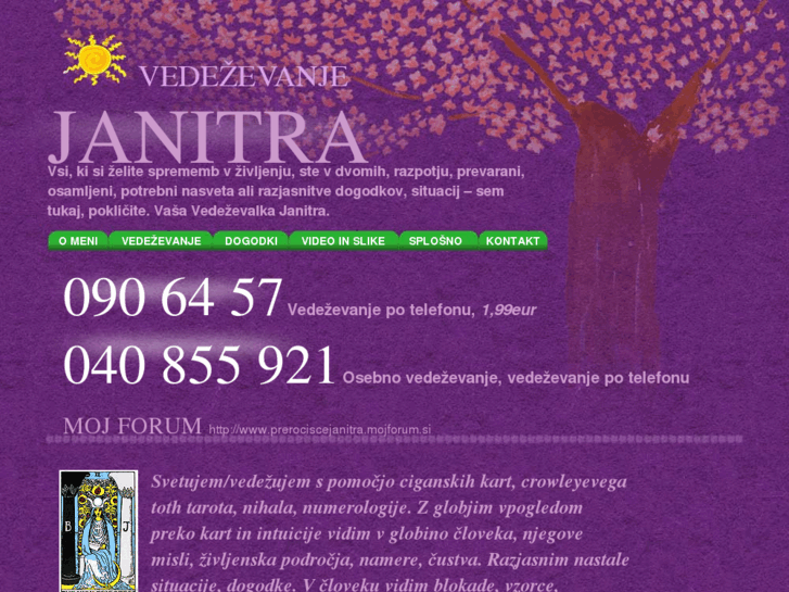 www.vedezevanje-art-janitra.com