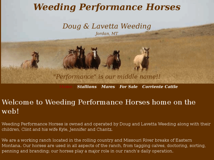 www.weedingperformancehorses.com