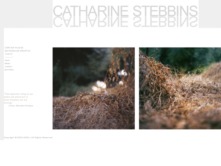 www.catharinestebbins.com