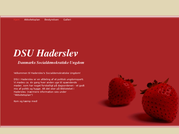 www.dsuhaderslev.net