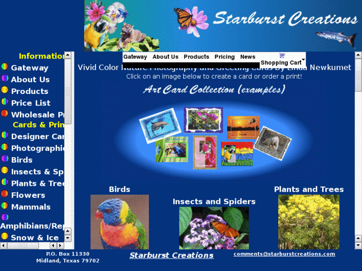 www.starburstcreations.com