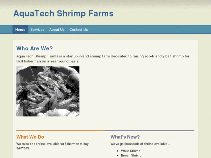 www.aquatechshrimpfarms.com