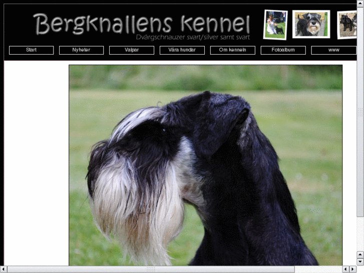 www.bergknallens.com