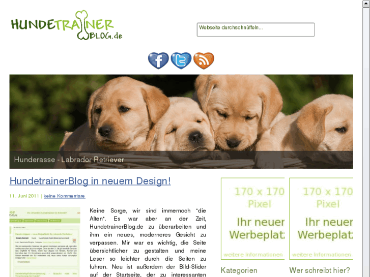 www.hundetrainerblog.de