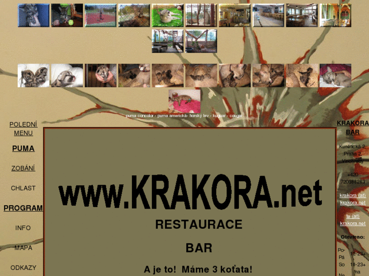 www.krakora.net