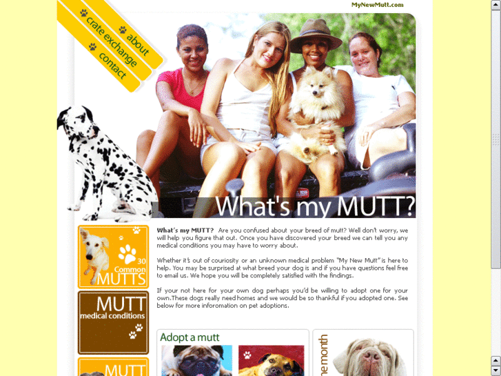 www.mynewmutt.com