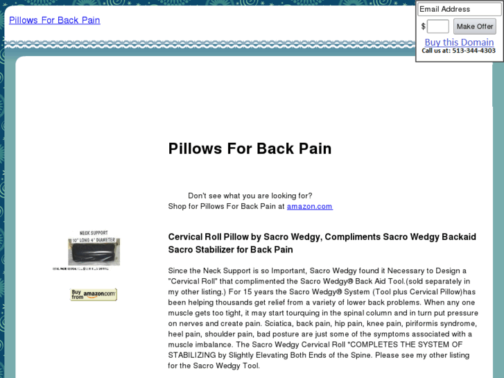 www.pillowsforbackpain.com