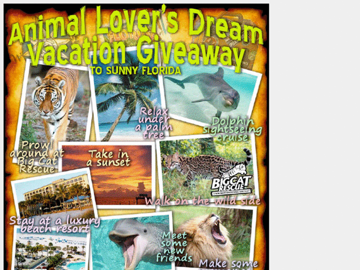 www.bigcatrescue.net