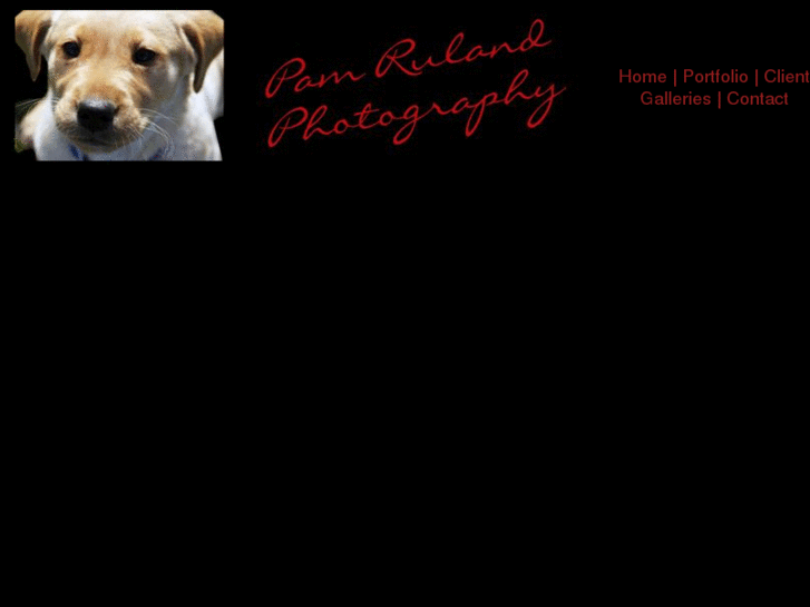 www.pamrulandphotography.com