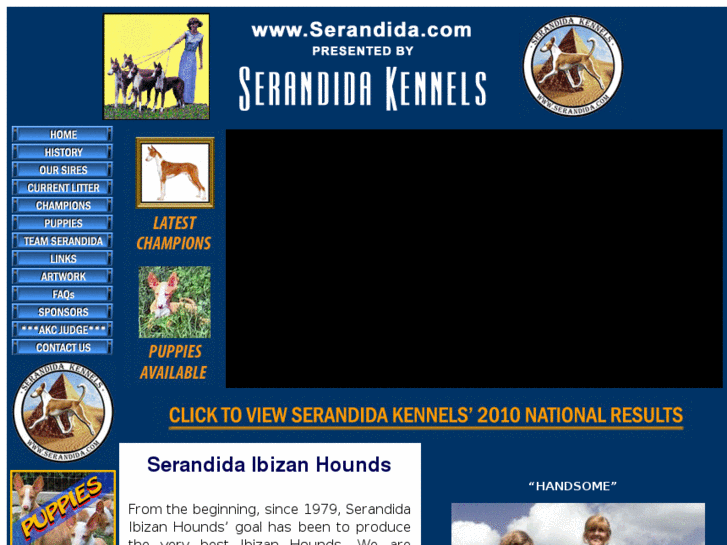 www.serandidaibizanhounds.com