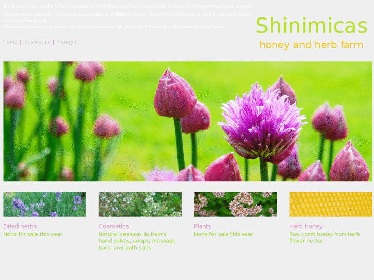 www.shinimicas.com