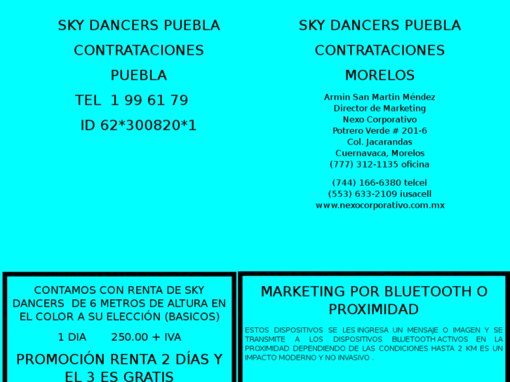 www.skydancerspuebla.com