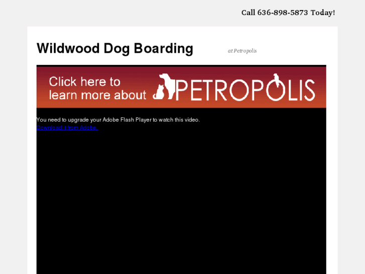 www.wildwooddogboarding.com