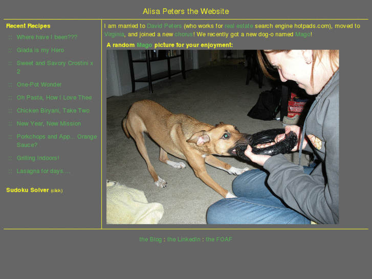 www.alisapeters.com