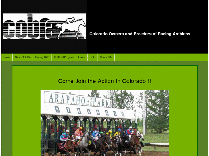 www.arabianracingcolorado.com